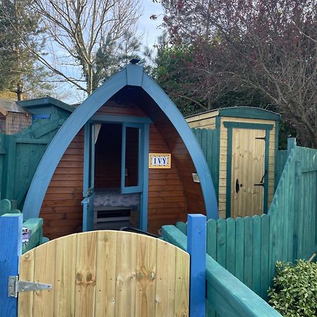 Glamping In The 2Nd Field Hotell Aughrim Eksteriør bilde